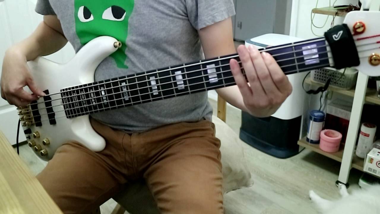 브로큰 발렌타인 [Broken Valentine] - 화석의 노래 베이스 커버