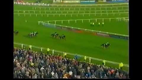 RESULTADO DO 1º DIA DO FESTIVAL DE HIPISMO 1999