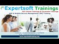 SAP S4HANA Service 2023 Training | SAP S4HANA Service Online Training