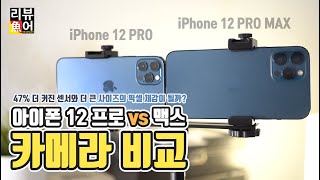 아이폰12프로맥스 vs 12프로 카메라 비교 (1/2) I 정말 프로보다 카메라가 좋아졌을까?? [디셈버의 리뷰어魚] iPhone 12 Pro MAX vs 12 Pro Camera