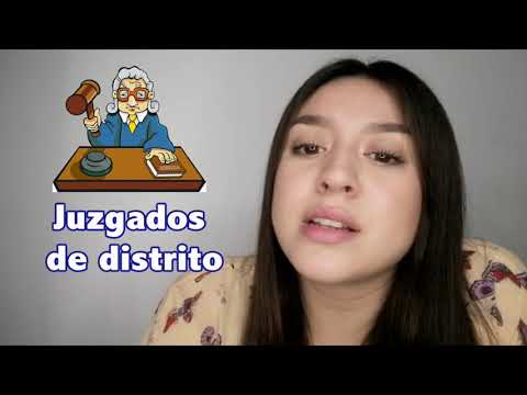 Video: ¿Cuántos tribunales de circuito hay en Estados Unidos?