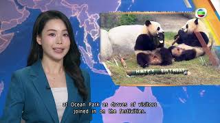 TVB News | 15 Aug 2026 | Hong Kong-born panda twins celebrate 2nd birthday