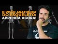 DIVISÕES ANATÔMICAS ESQUELETO: APRENDA AGORA E NUNCA MAIS SE ESQUEÇA!