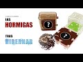 ASÍ ESTÁN MIS COLONIAS DE HORMIGAS TRAS LA HIBERNACIÓN - REVISIÓN - EL PLANETA DE LAS HORMIGAS