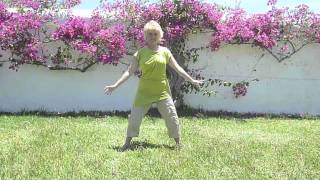 Dru Yoga - Earth Salutation
