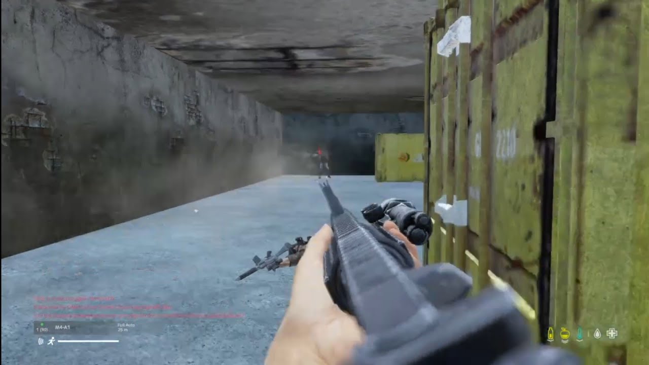 DayZ - 1v1 servers basically...