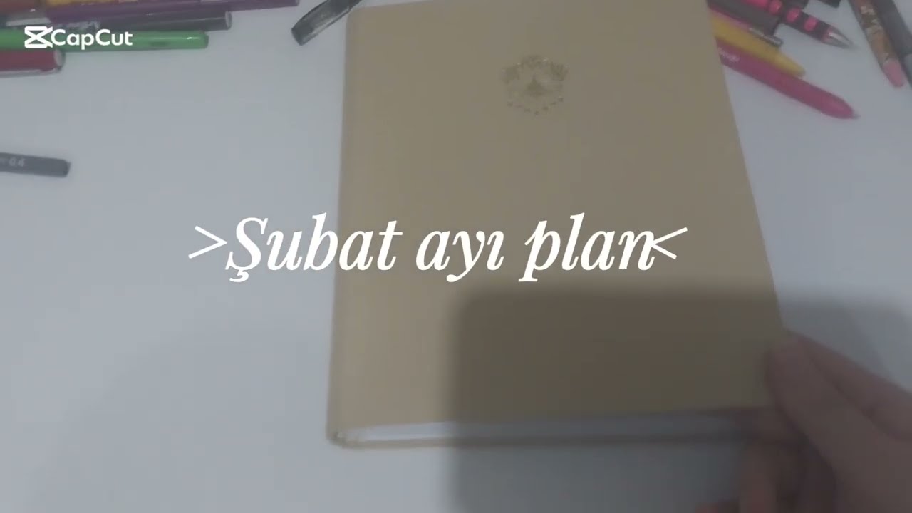 Şubat ayı planı