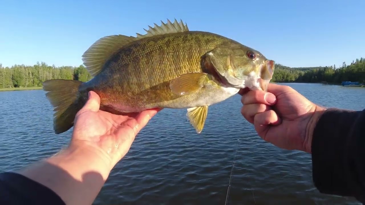 Fishing For Big Smallmouth Bass in Northern Minnesota!