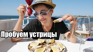 Пробуем крымские устрицы - ВО Тайм