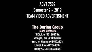 ADVT7509 Team Assignment Final Vision - Dingo Phone Company