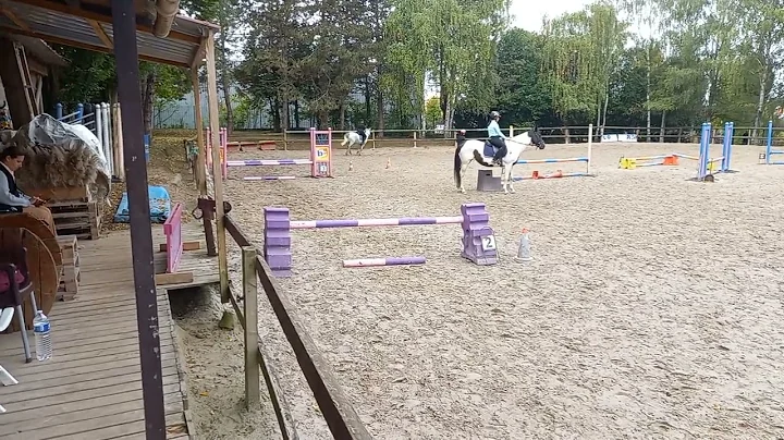 Shana  prparation au concours de hunter la semaine...