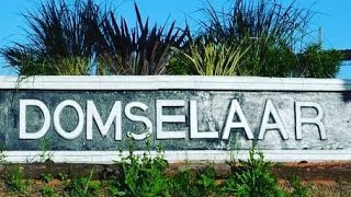 CONOCE DOMSELAAR EN 1 MINUTO