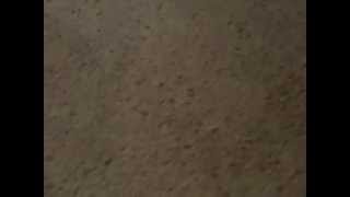 Vhs Update For 121913