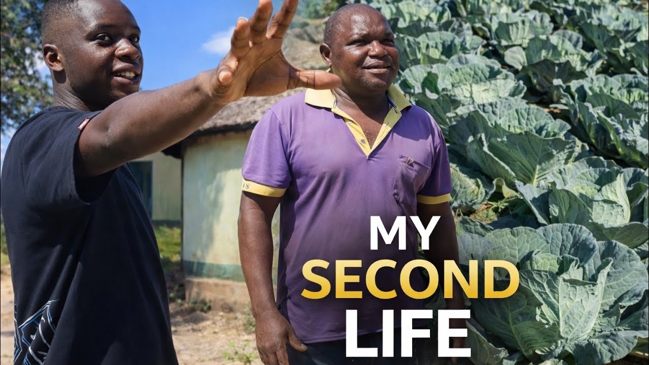 I traded a gun for the land. From soldier to successful village farmer. This is Zimbabwe 🇿🇼 