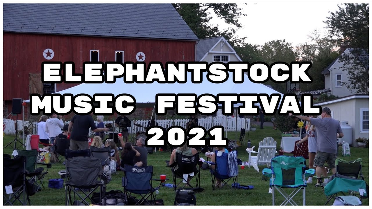 Elephantstock Music Fest 2021 - Summary Video