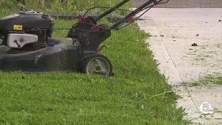 To cut or not to cut? Cleveland residents weigh in on No Mow May Profile
