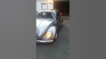 54 oval window vw bug 12v semaphore