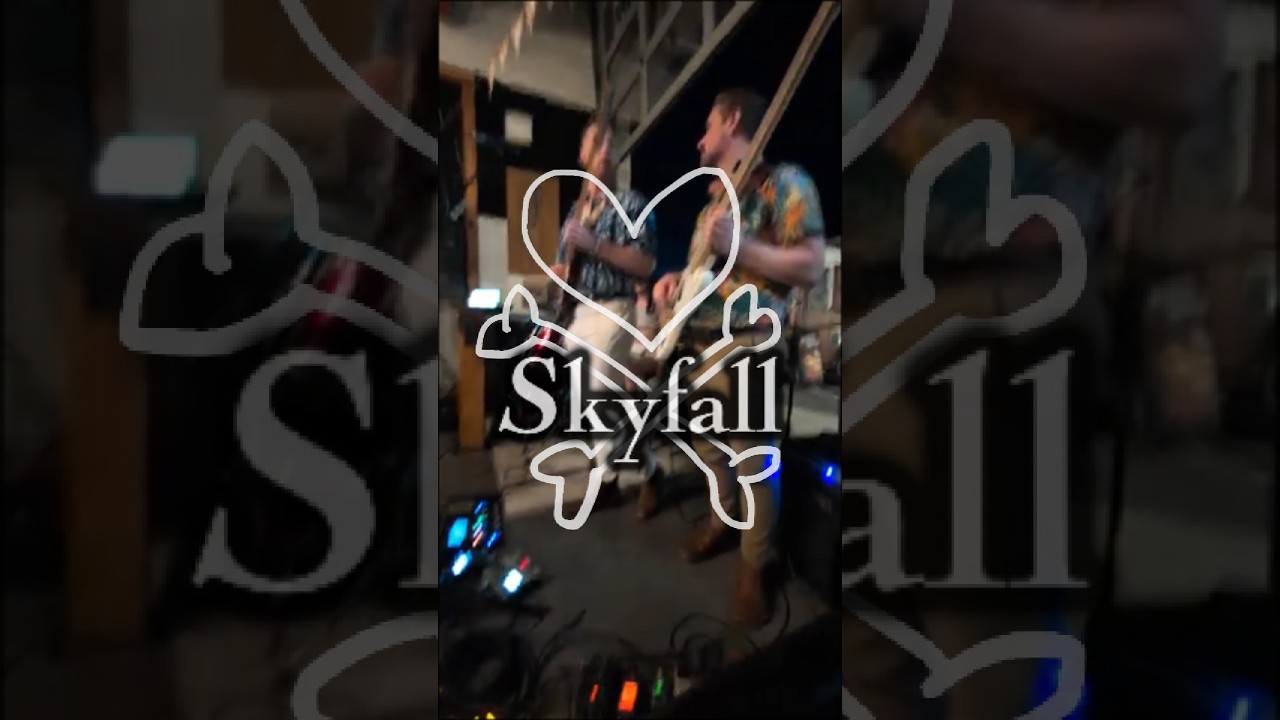 skyfall 邦楽 James + Vinyl Silver Edition Anniversary 10th - Skyfall Bond 邦楽