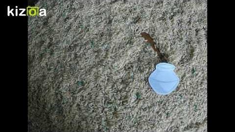 Kizoa Movie - Video - Slideshow Maker: Final Art Project