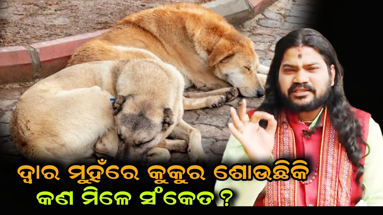 DWARA MUHARE KUKURA SOUCHIKI KAN MILE SANKETA!!@BHABADIBAKAR 