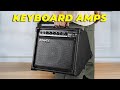 Top Keyboard Amps to Check Out?