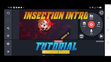 How to Make iNSECTiON intro