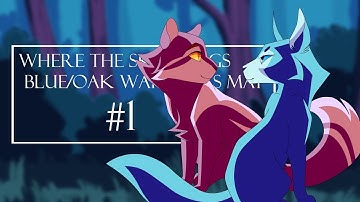 𝒲𝒽𝑒𝓇𝑒 𝓉𝒽𝑒 𝒮𝓀𝓎 𝐻𝒶𝓃𝑔𝓈 — Blue/Oak Warriors MAP [Pᴀʀᴛ 𝟷]