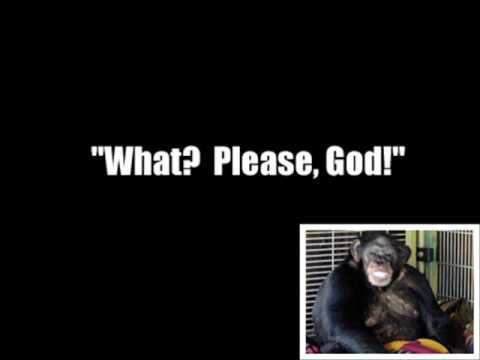 Chimp Attack 911 Call