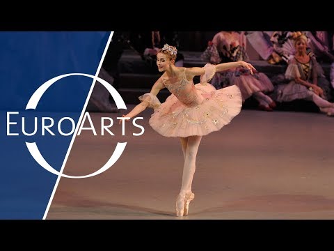 Video: So Kaufen Sie Ein Ticket Für Das Mariinsky-Theater