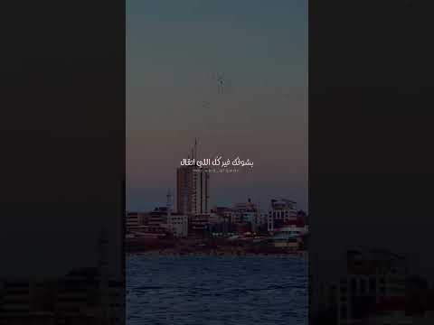 ستوري واتس اب قالو عليكي محمد سعيد Shorts Whatsappstatus محمد سعيد اغاني Explore تصميمي
