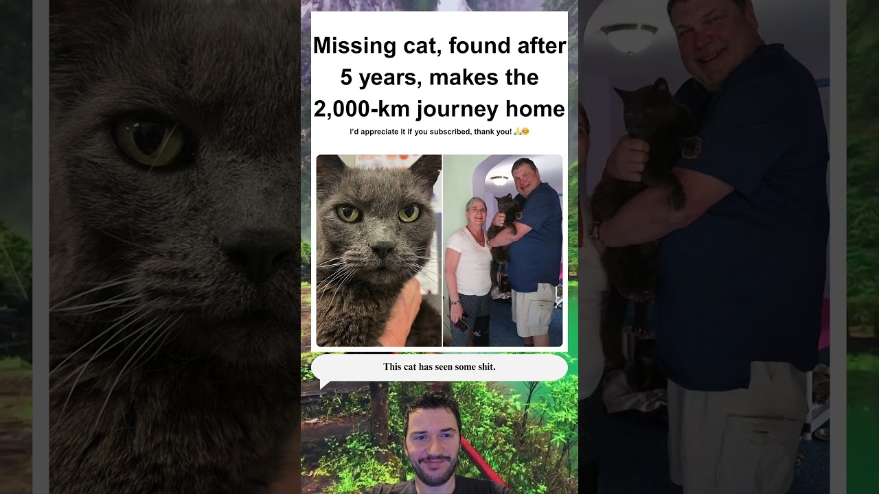 Lost Cat Reunited With Family After 5 Years Thanks to Microchip 🐾❤️
