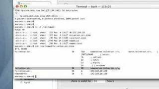 DNS on OS X Server