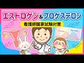 【母性看護学①】エストロゲンとプロゲステロン
