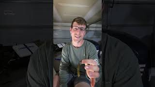 Bass Fishing Secret: Let Your Senko Do Nothing for Maximum Bites! | Day 52 Short 2 Suzuki
