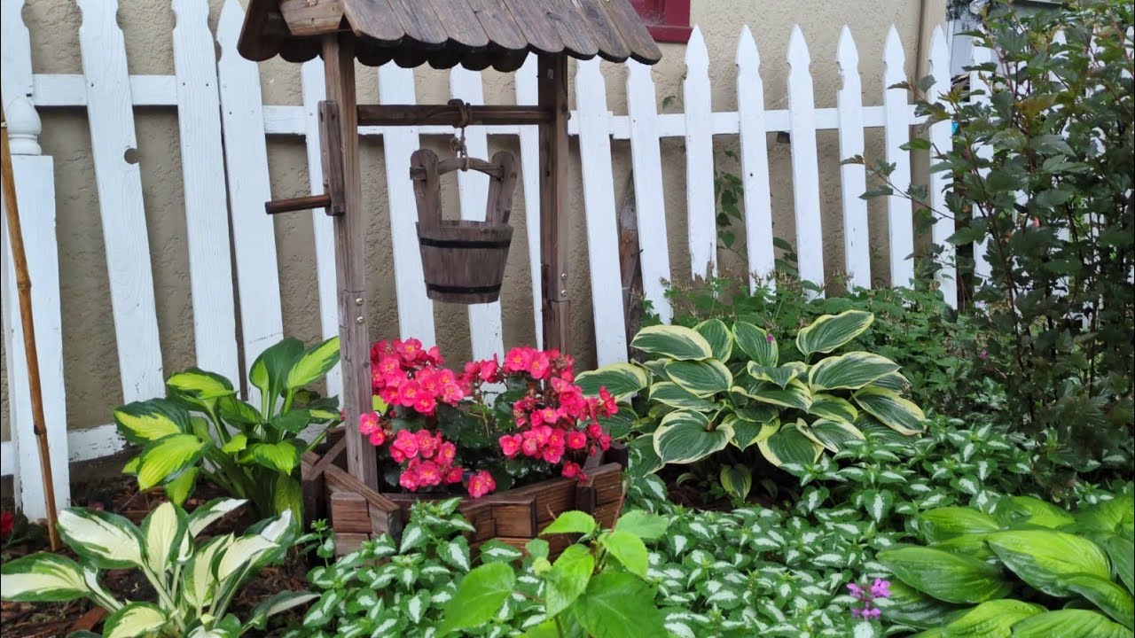 First day of summer , Roses and Hydrangea silent tour