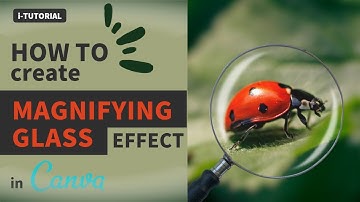 How to Create Magnifying Glass Effect in Canva