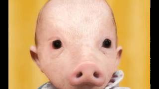 Blind Sample - Tsiou Movie Soundtrack