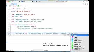 Example of SwiftVISASwift Setup