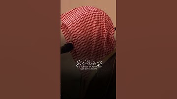 تلاوة هادئة للشيخ ناصر القطامي 🌹.
