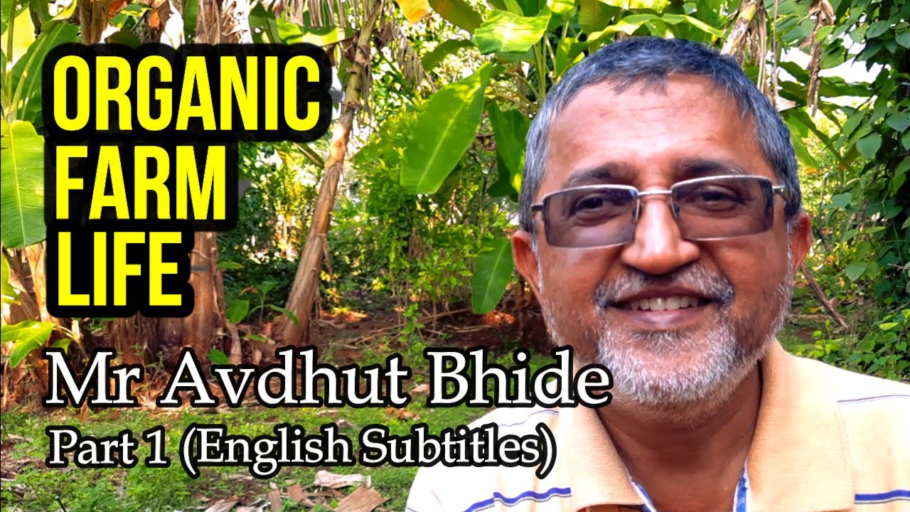 Life on an Organic Permaculture Farm - Cool Story of Avdhut Bhide; Part-1 #agriculture #organicfarm