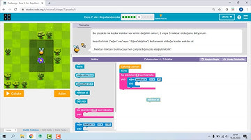 Code org Kurs 3 Bölüm 5