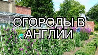 ДАЧНЫЕ УЧАСТКИ - ОГОРОДЫ В АНГЛИИ