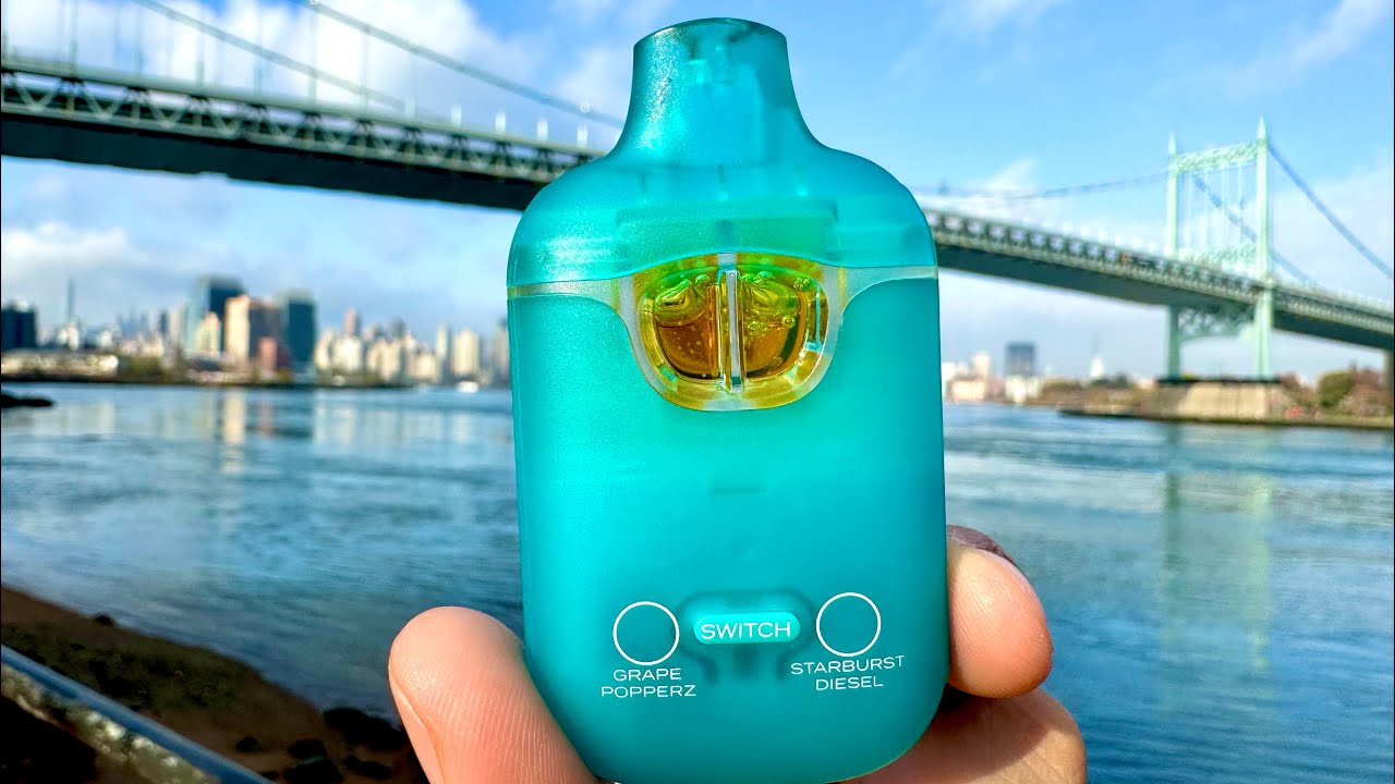 Boutiq Switch V3 IN ONE SITTING