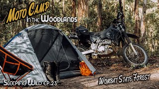 A Solo Motorcycle Camping Forest Adventure | Sleeping Wild Ep. 23 | Silent Vlog