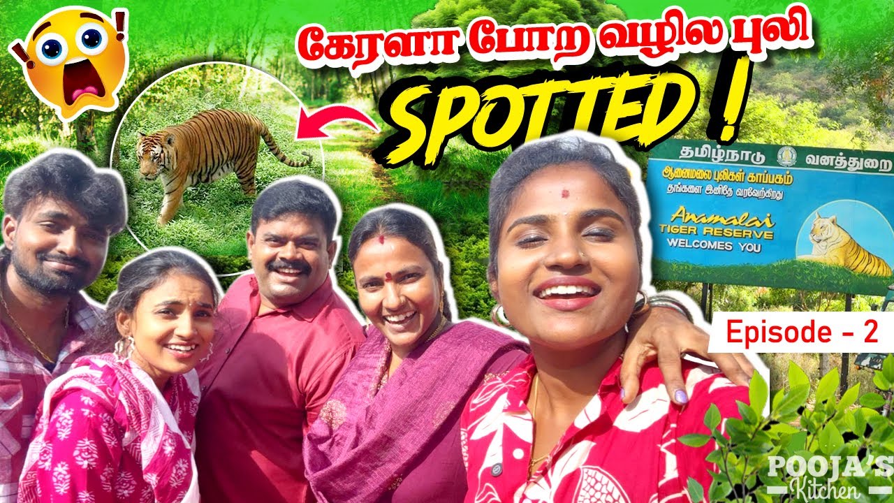 Kerala போற வழில புலி ,சிறுத்தை பார்த்தோம் 🐆😱 | Life la Best Experience 🤩⁉️ #vacation  #munnar #trip