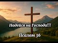 Надейся на Господа! Псалом 36 . Христианские песни. #gospelmusic #christianmusic #христианскиепесни