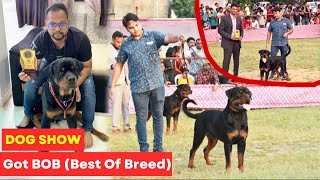 My Rottweiler Got BOB In Bhadravati Chandrapur Dog Show 2022 | Rottweiler Puppy In Dog Show