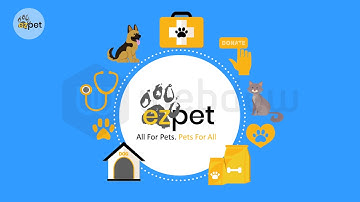 A 2D animation explainer video for EZ PET by Webdew- #WebdewVideoPortfolio