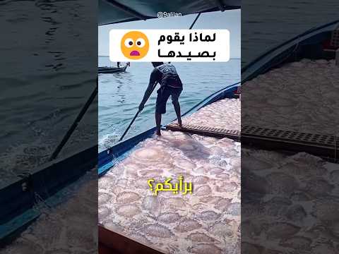  طريقة صيد قناديل البحر