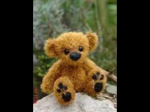 Нашият Мечо